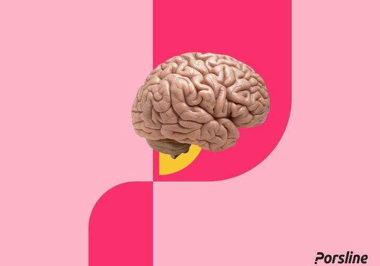 كل ما تحتاج معرفته عن اختبار الذكاء IQ